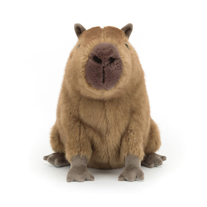 Peluche Capybara Clyde Jellycat avant