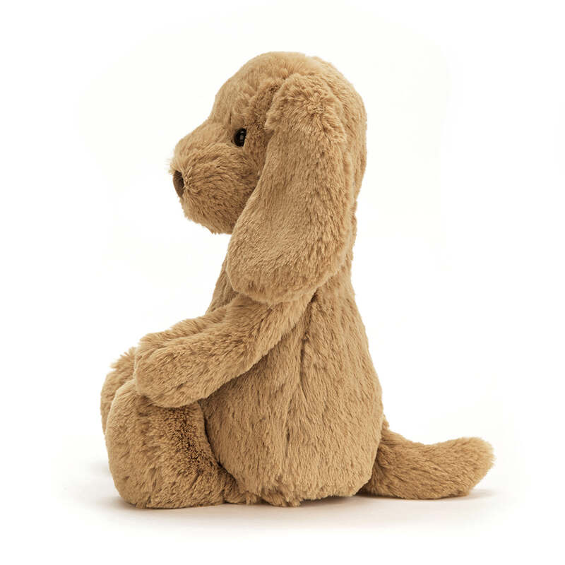 Peluche Chiot Bashful Toffee Puppy Jellycat cote