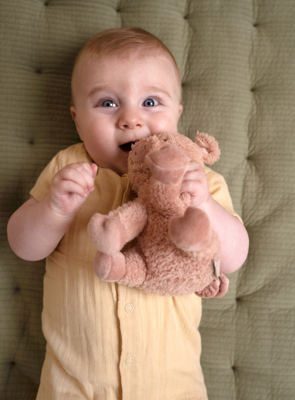 Peluche Cochon Little Farm 17 cm Little Dutch lifestyle 2