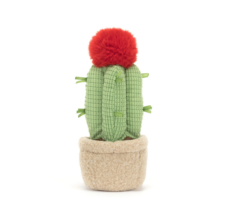 Peluche plante Amuseable Moon Cactus Jellycat arriere