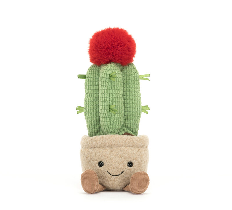 Peluche plante Amuseable Moon Cactus Jellycat avant