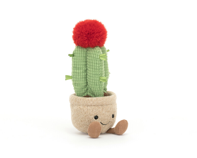 Peluche plante Amuseable Moon Cactus Jellycat produit face