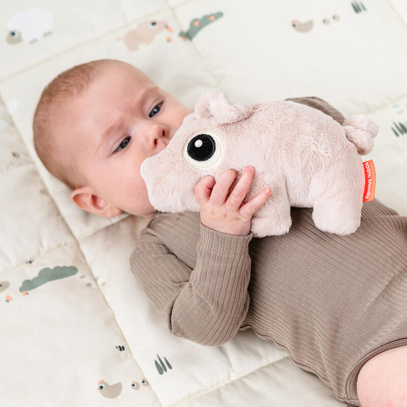 Petite Peluche Pigee Rose Done By Deer lifestyle 2