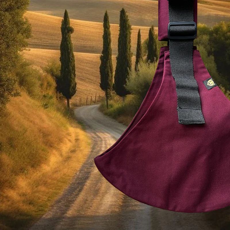 Porte Enfant 9 mois-4 ans Merlot Wildride zoom