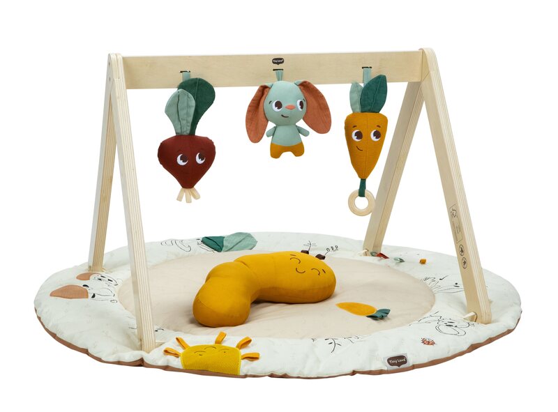 Tapis d'éveil avec arche en bois Luxe Gymini - Garden of Adventures Tiny love produit