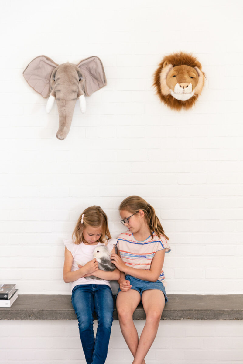 Trophée Peluche Lion Cesar WILD AND SOFT lifestyle