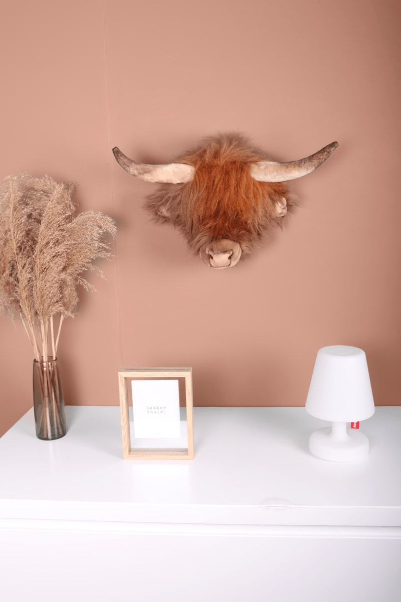 Trophée Peluche Vache Ecossaise Nicolas WILD AND SOFT lifestyle