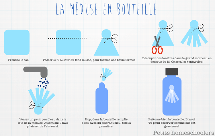 Bouteille méduse bouteille sensorielle